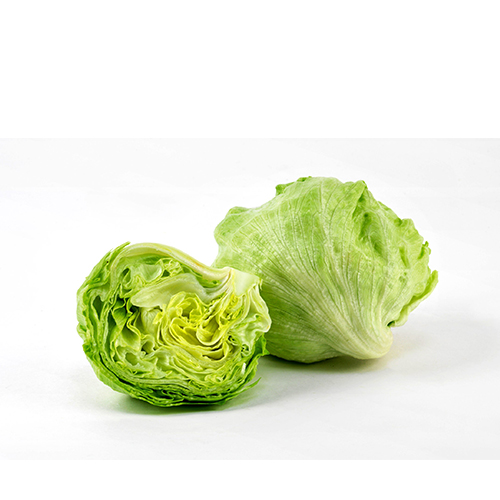 ICEBERG LETTUCE (KG) Grocery Shopping Online Jamaica